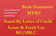  Providers of Fresh Cut BG,  SBLC and MTN