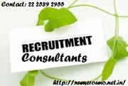Recruitment Consultants the Real Agent of Growth by Numerouno