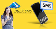 The Timeshare Bulk SMS Software In Gujarat