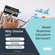 Professional Business Valuation Services | How to value your goodwill 